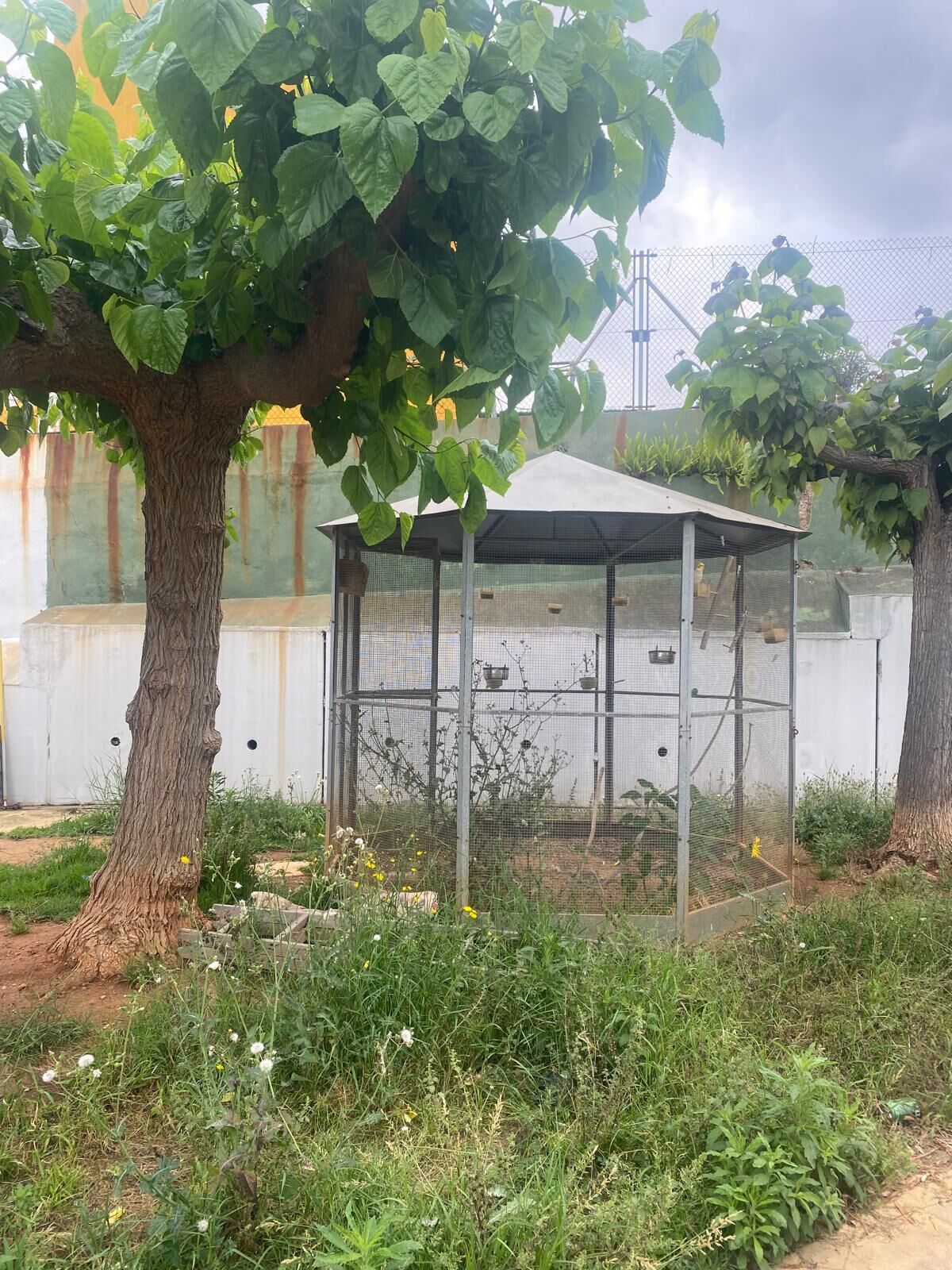 Fotografía del inmueble